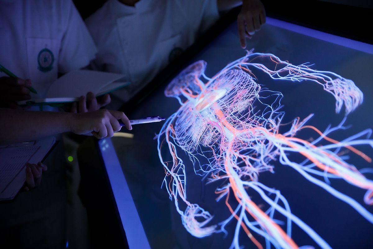 Biomedical Computing Technology Study Research Platforms | Macao Polytechnic University